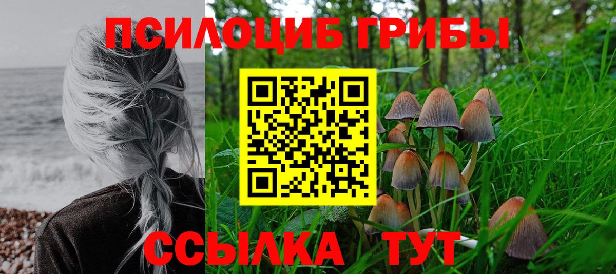Псилоцибиновые грибы Psilocybine cubensis Орёл